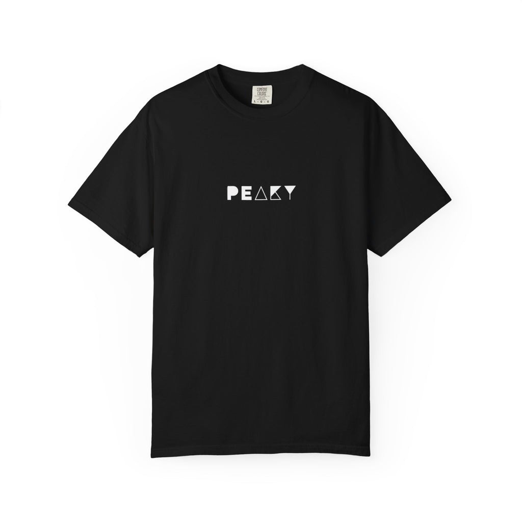 Garment-Dyed T-shirt with Novioni Design